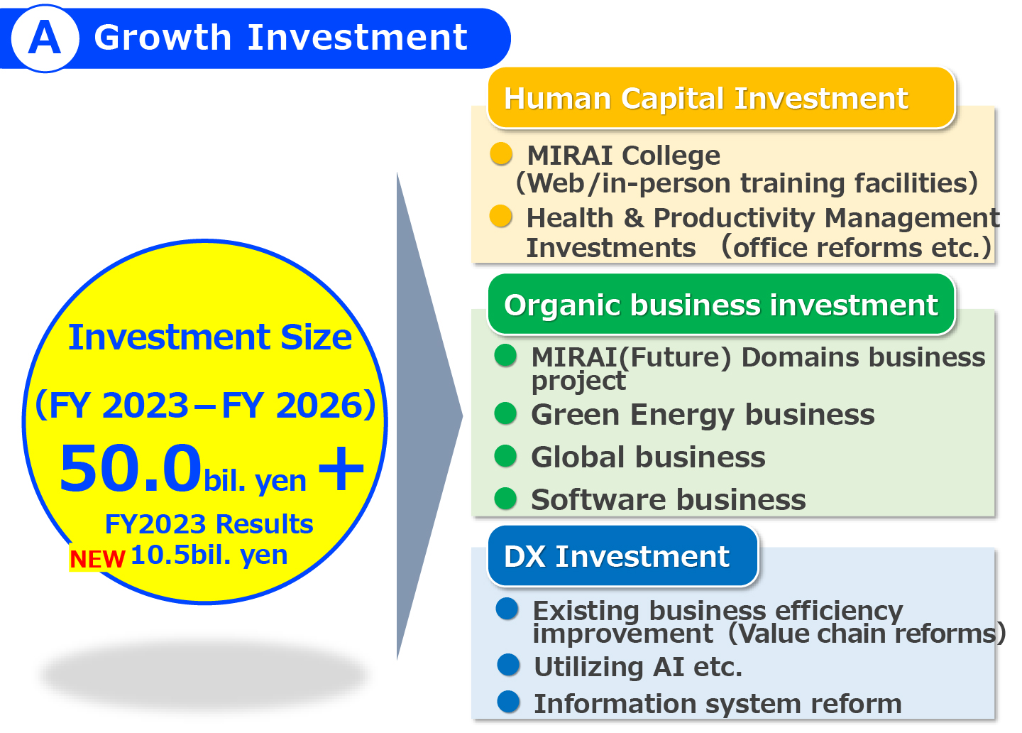 ⒶGrowth Investment