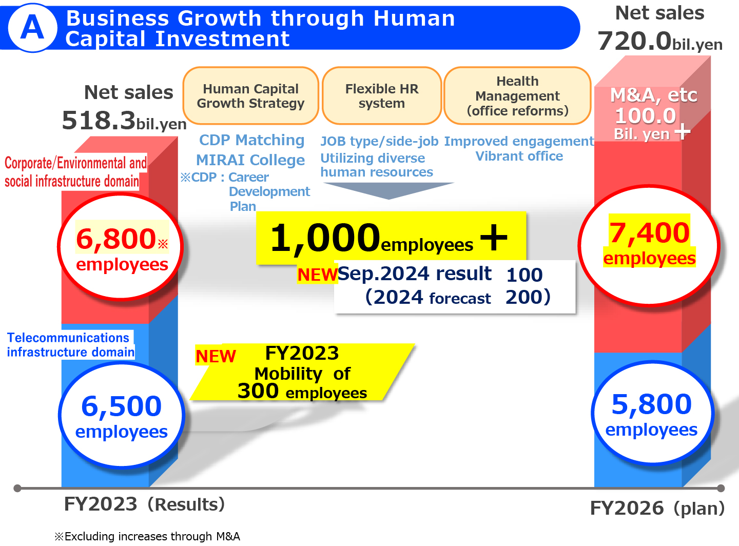 ⒶBusiness Growth through Human Capital Investment